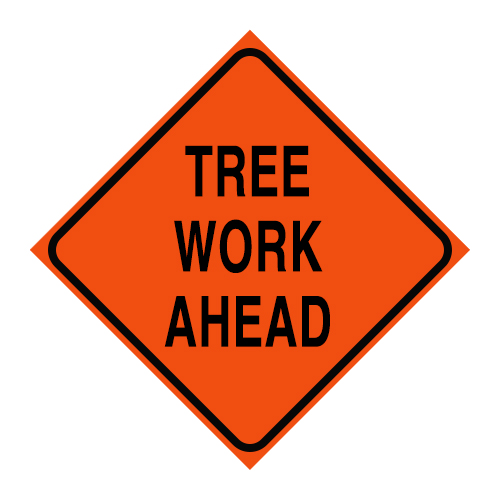 April 22 - 24, 2024: Tree Work on Radnor Trail