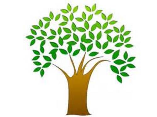 VOLUNTEER OPPORTUNITY coming up on October 15 & 16th at our Annual Free Tree Giveaway