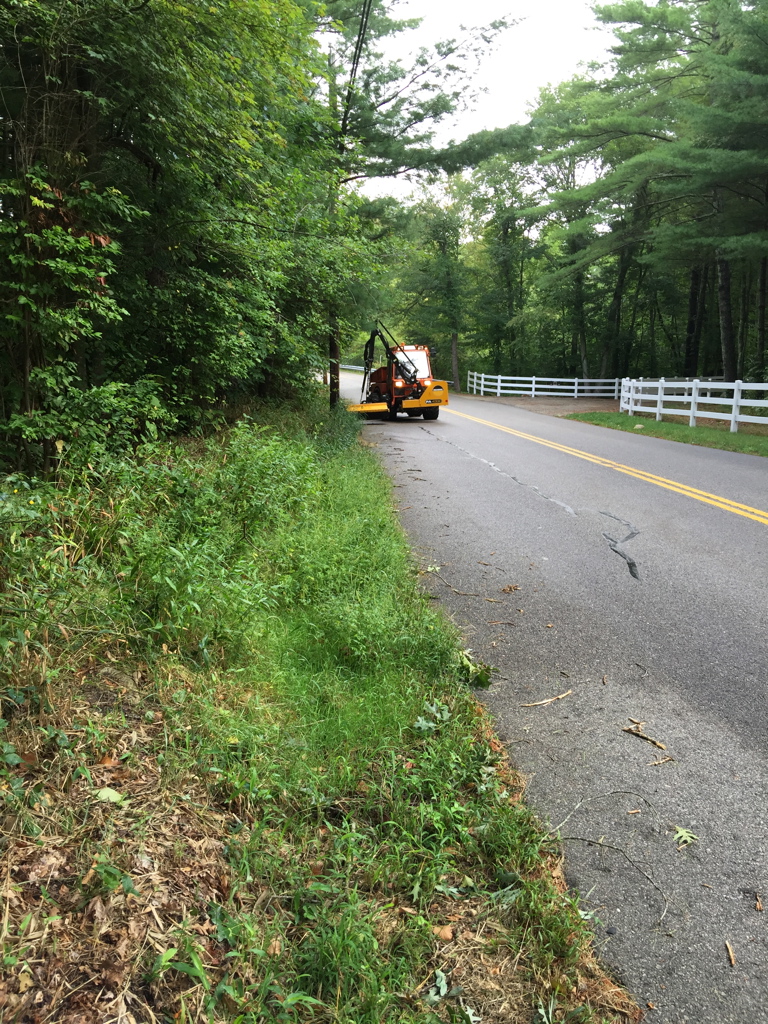 July & August 2024: Radnor Township Roadside Clearing