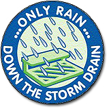 only_rain_down_the_storm_drain