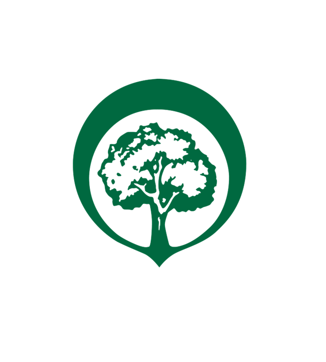 logo-tree-city-usa-color.