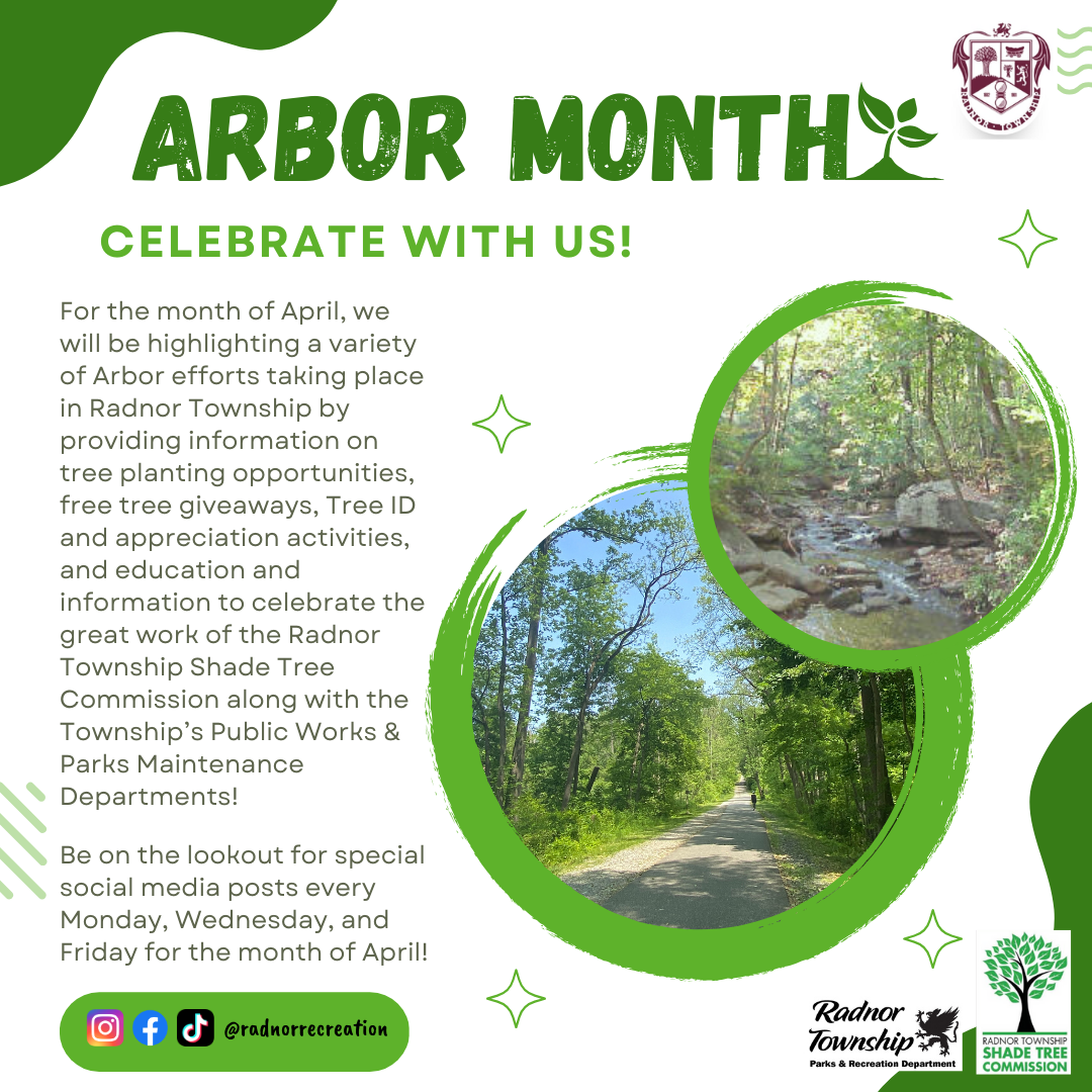 Arbor Month Kick Off Promo
